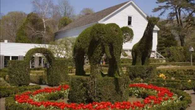 Automatically generated caption